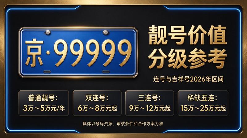 闲置车牌指标业务展示